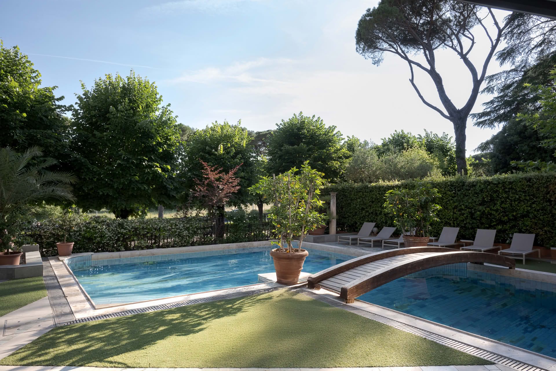 Immagine - 2ceb6c8e-b2b5-4386-9181-8125fc6807cd