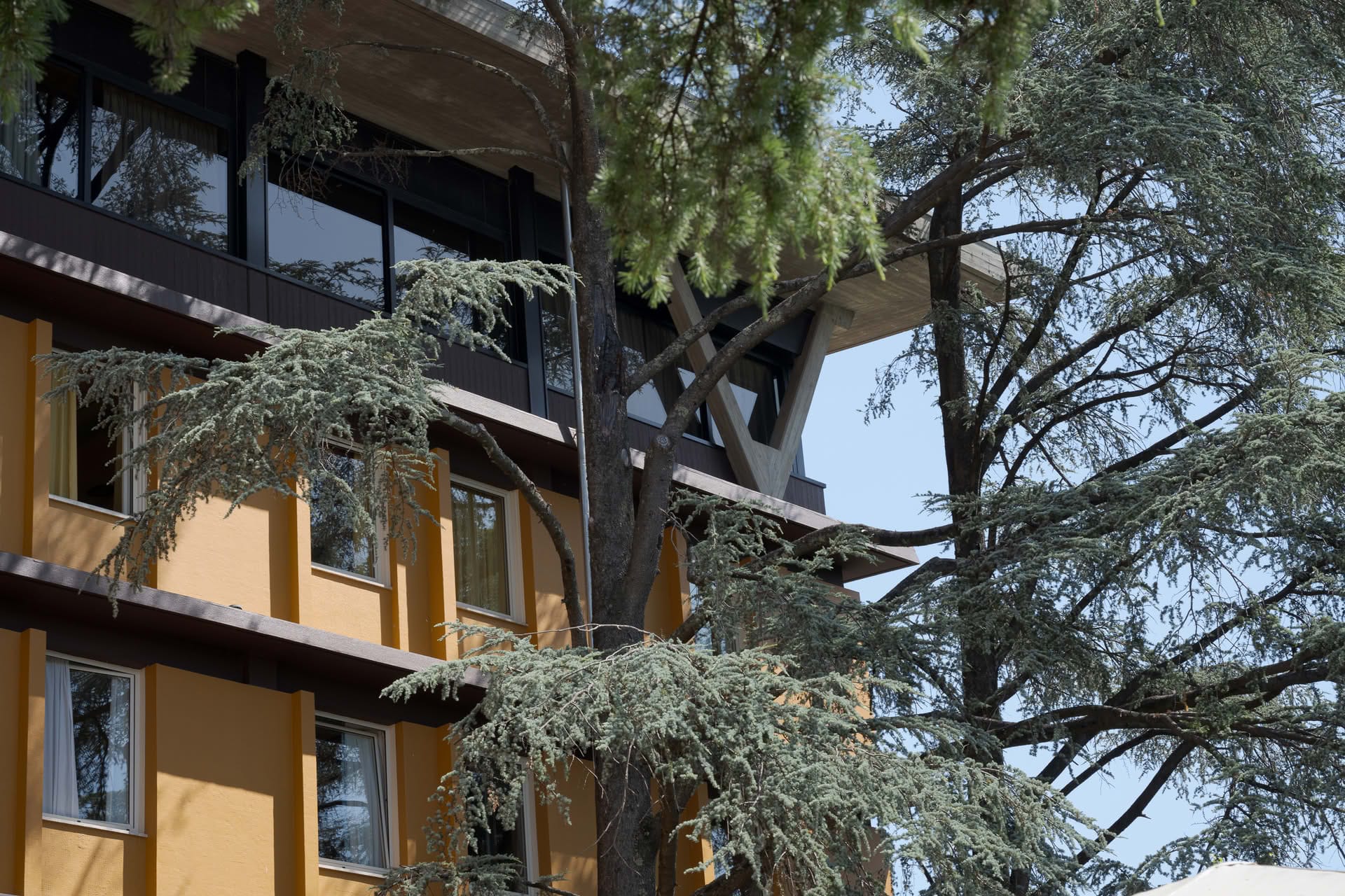 Immagine - 410aa22e-cdf2-43b2-8b62-c7e282988e70